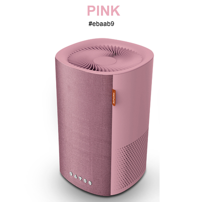 Ultra Quiet Anion Air Purifier