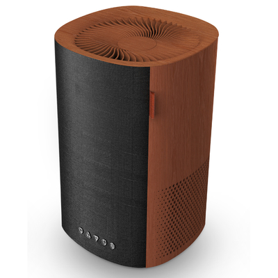 Button Control Mini HEPA Air Filter Eliminates Smoke True HEPA Filter Air Purifier