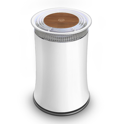 Household Anion Air Purifier