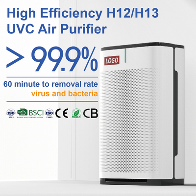 Home Air Purifier For Viruses And Bacteria