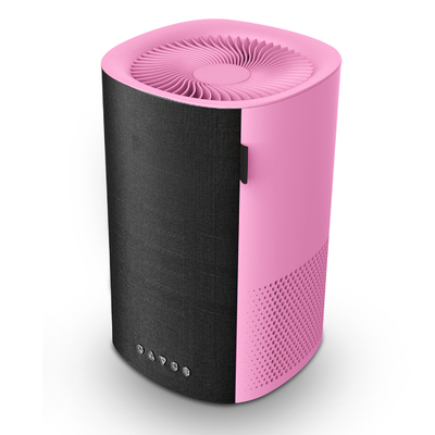 Ultra Quiet Anion Air Purifier