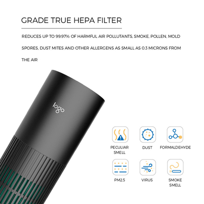 Removes PM2.5 Car Air Purifier Ionizer 10 Million Negative Ions Kills 99.9% Viruses