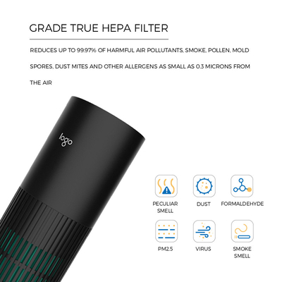 Removes PM2.5 Car Air Purifier Ionizer 10 Million Negative Ions Kills 99.9% Viruses