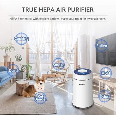 HEPA 13 Desktop Air Purifier 200 Sq Ft 100-240V 24W ABS  Materials